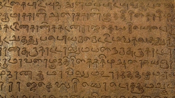 What is Tamil - the Oldest Language existed in the World!