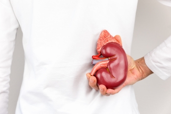 Kidneys on Human Body: Function, Location and Facts