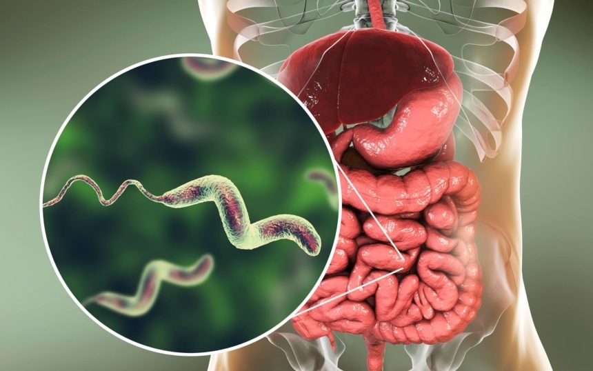 Diarrhea disease: Causes, Symptoms & Treatments for most common disease in India