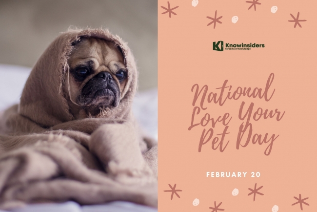 How To Celebrate 'Love Your Pet Day': Date, History and Meaning