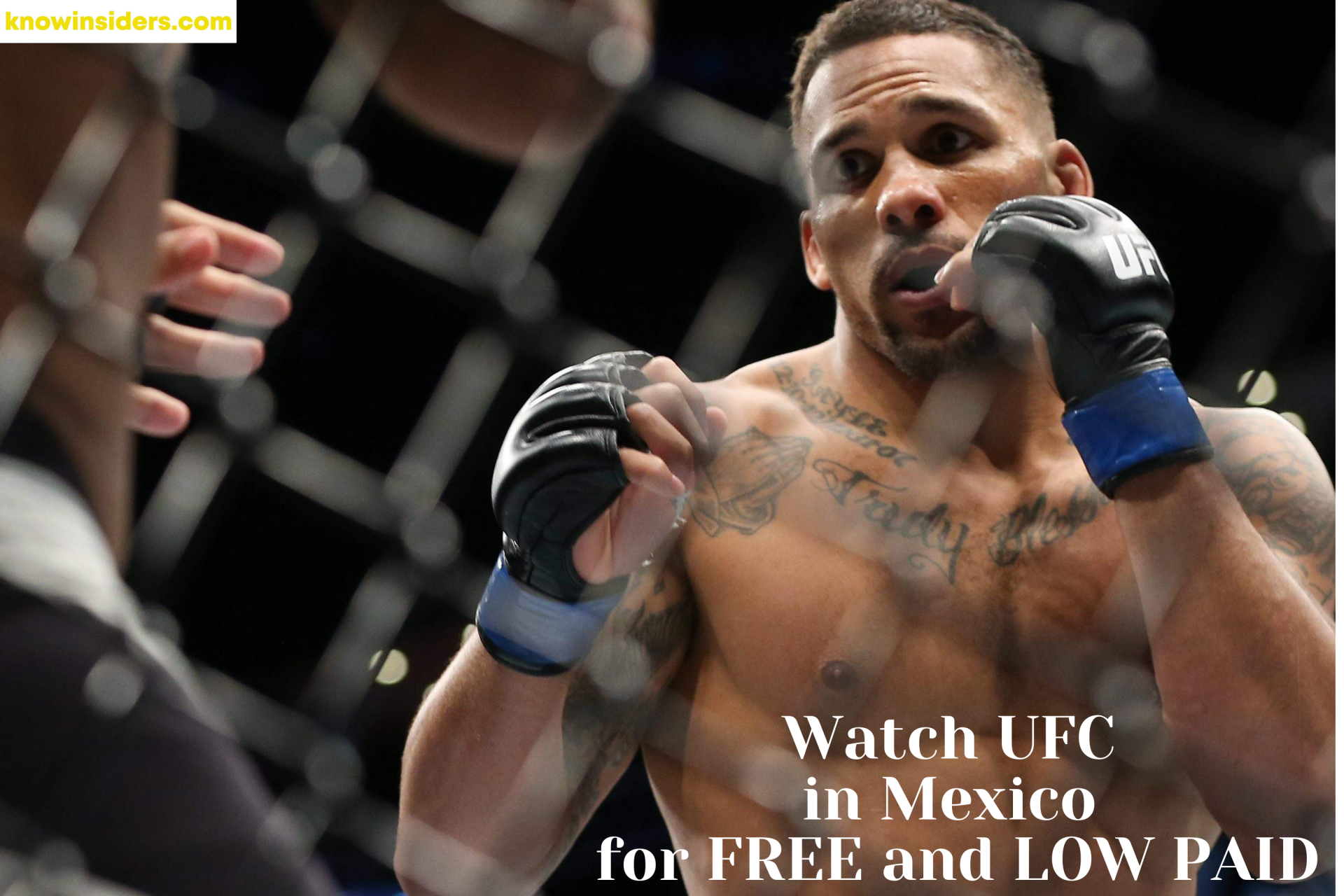 Watch UFC In Mexico for FREE and Low Paid