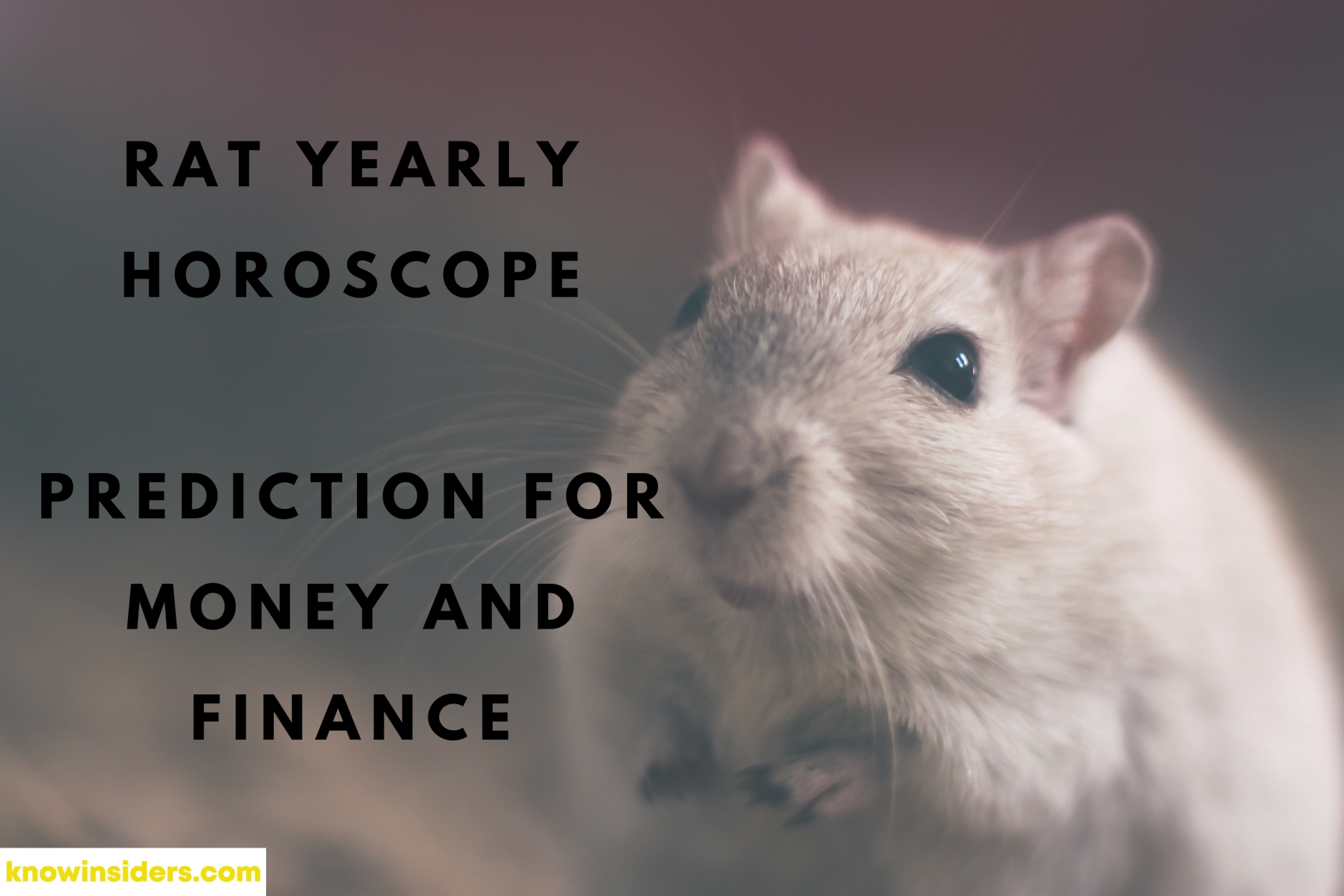 RAT Yearly Horoscope 2022: Feng Shui Prediction for Money and Finance