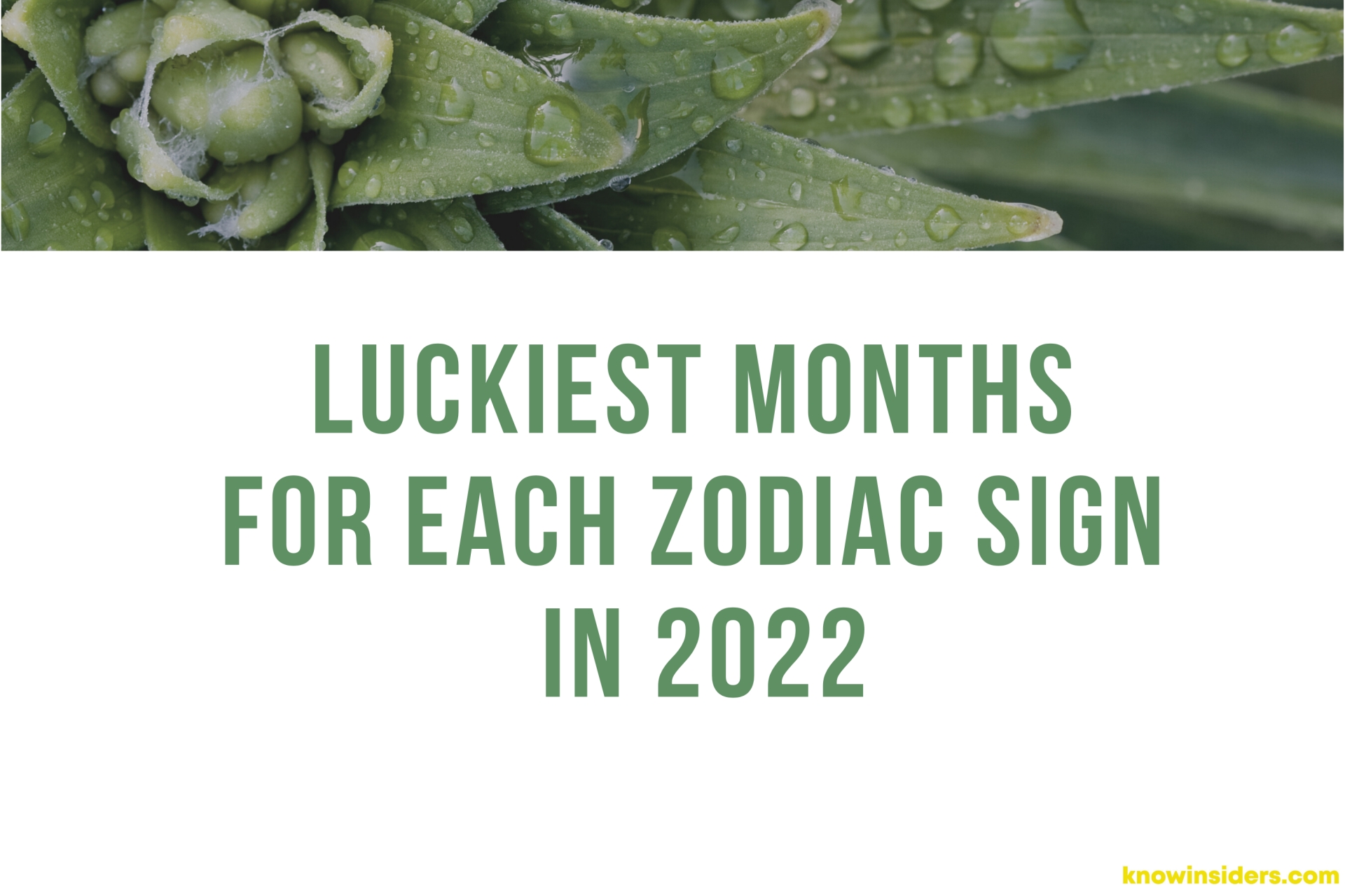 Luckiest Months For Every Zodiac Sign In 2022 According To Astrology