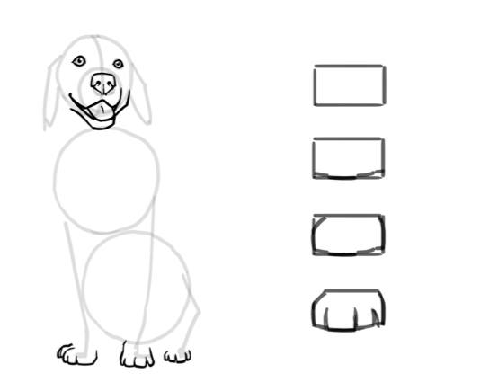 How To Draw A Dog With Easy Steps