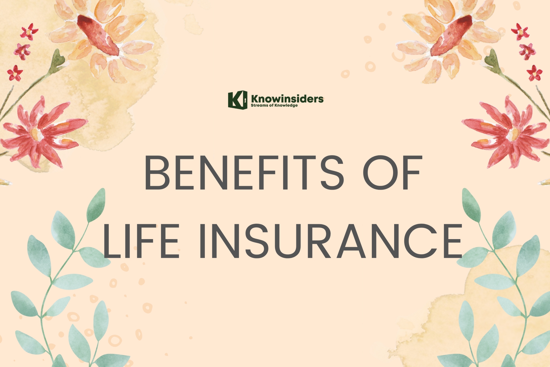 Top 20+ Advantages of Life Insurance and How to Accelerated Benefits