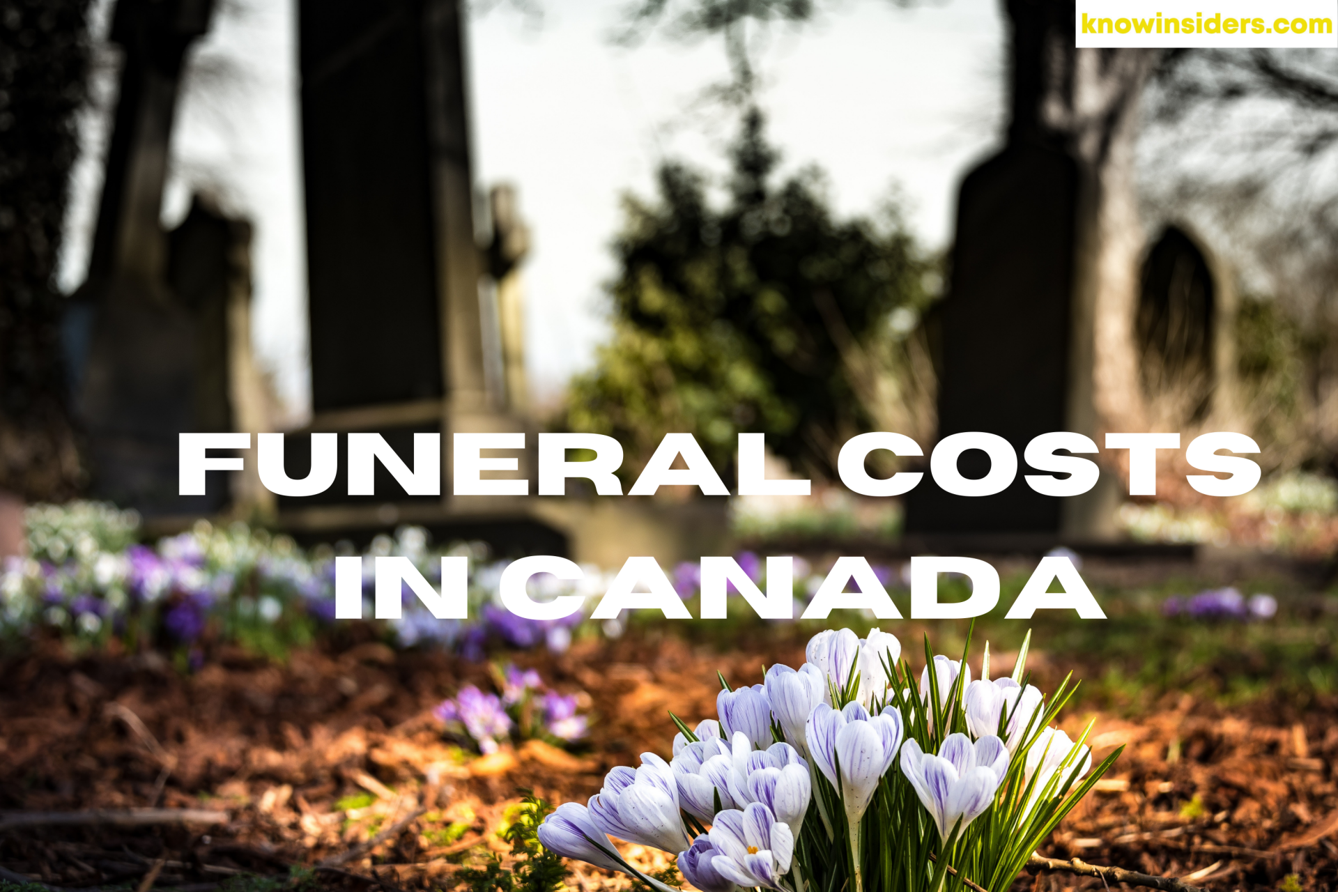 Funeral in Canada: How Much Does It Cost To Die?