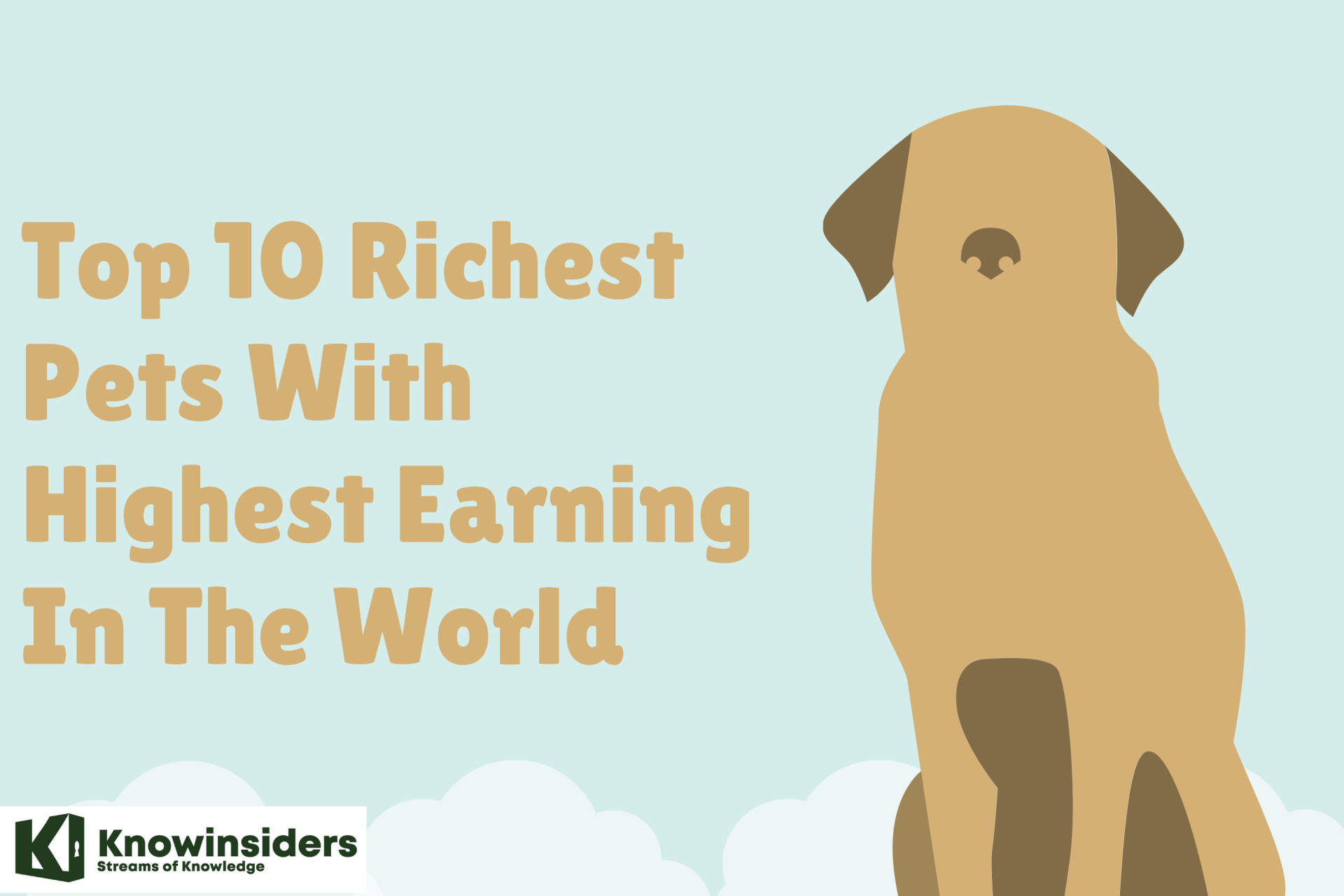 Top 10 Richest Pets With Highest Earning In The World