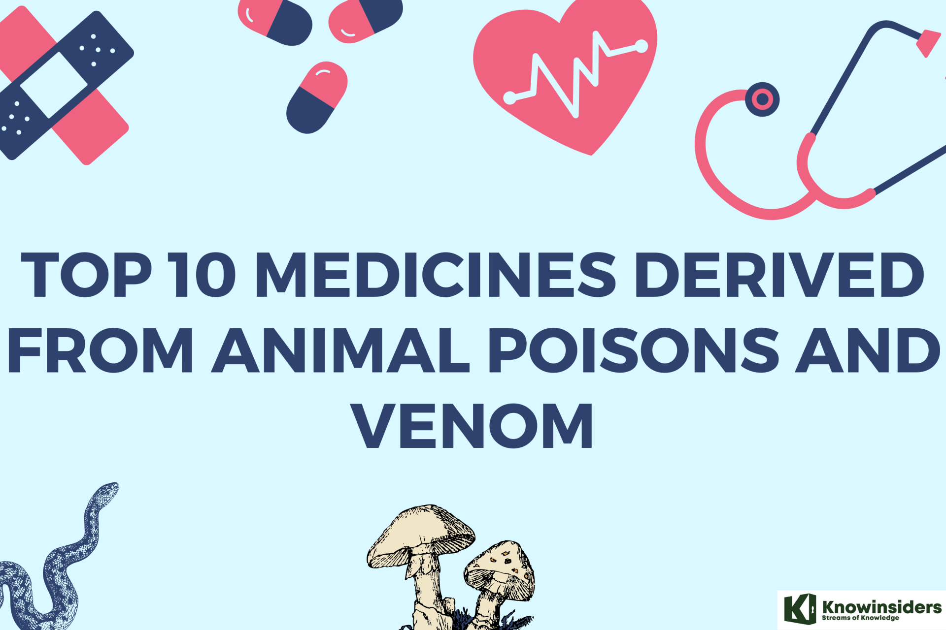 Top 10 Medicines Derived From Animal Poisons and Venom