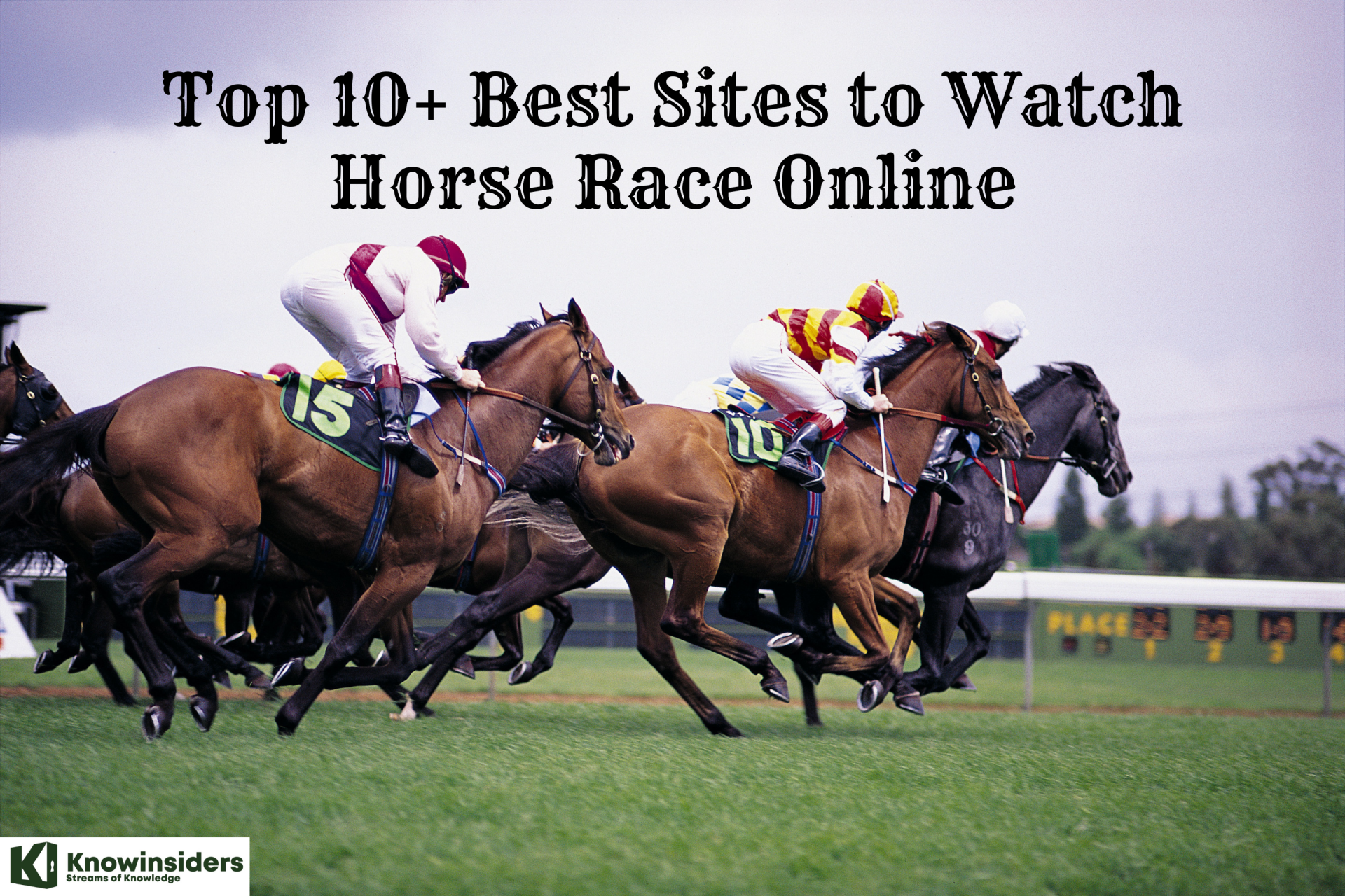 Top 10+ Best Free Sites to Watch Horse Race Online