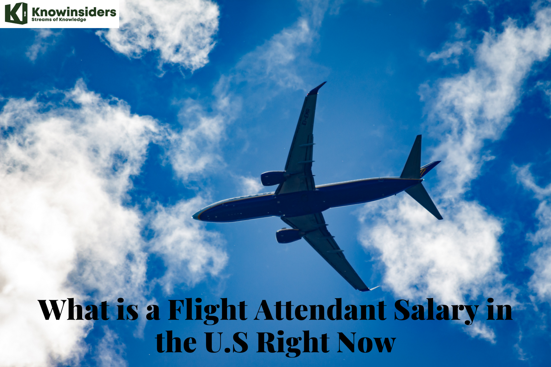 Facts About The Flight Attendant Salary in the U.S - Every State