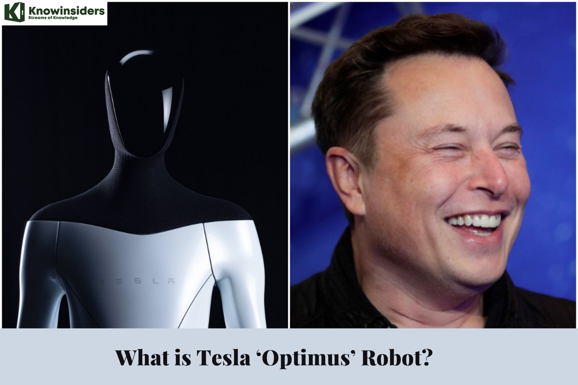 What Is Tesla ‘Optimus’ Robot: Feature, Appearance, Price And More ...