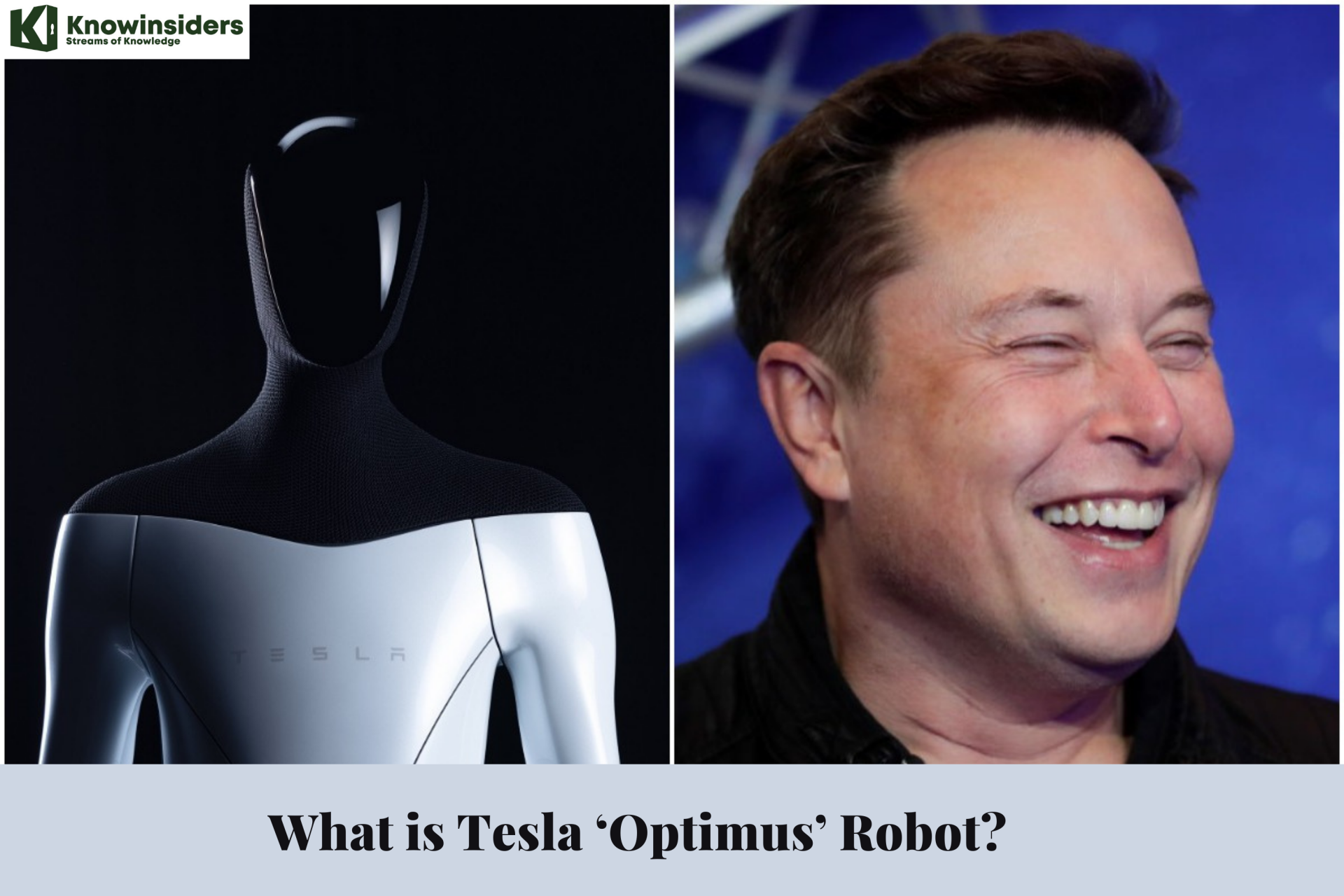 What is Tesla ‘Optimus’ Robot
