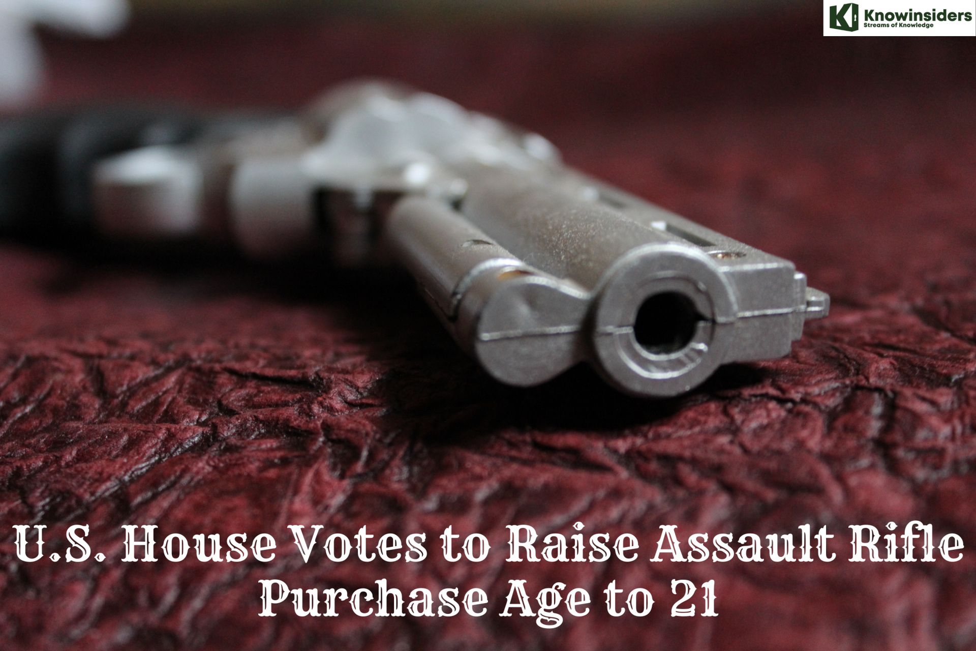 U.S. House Votes to Raise Assault Rifle Purchase Age to 21