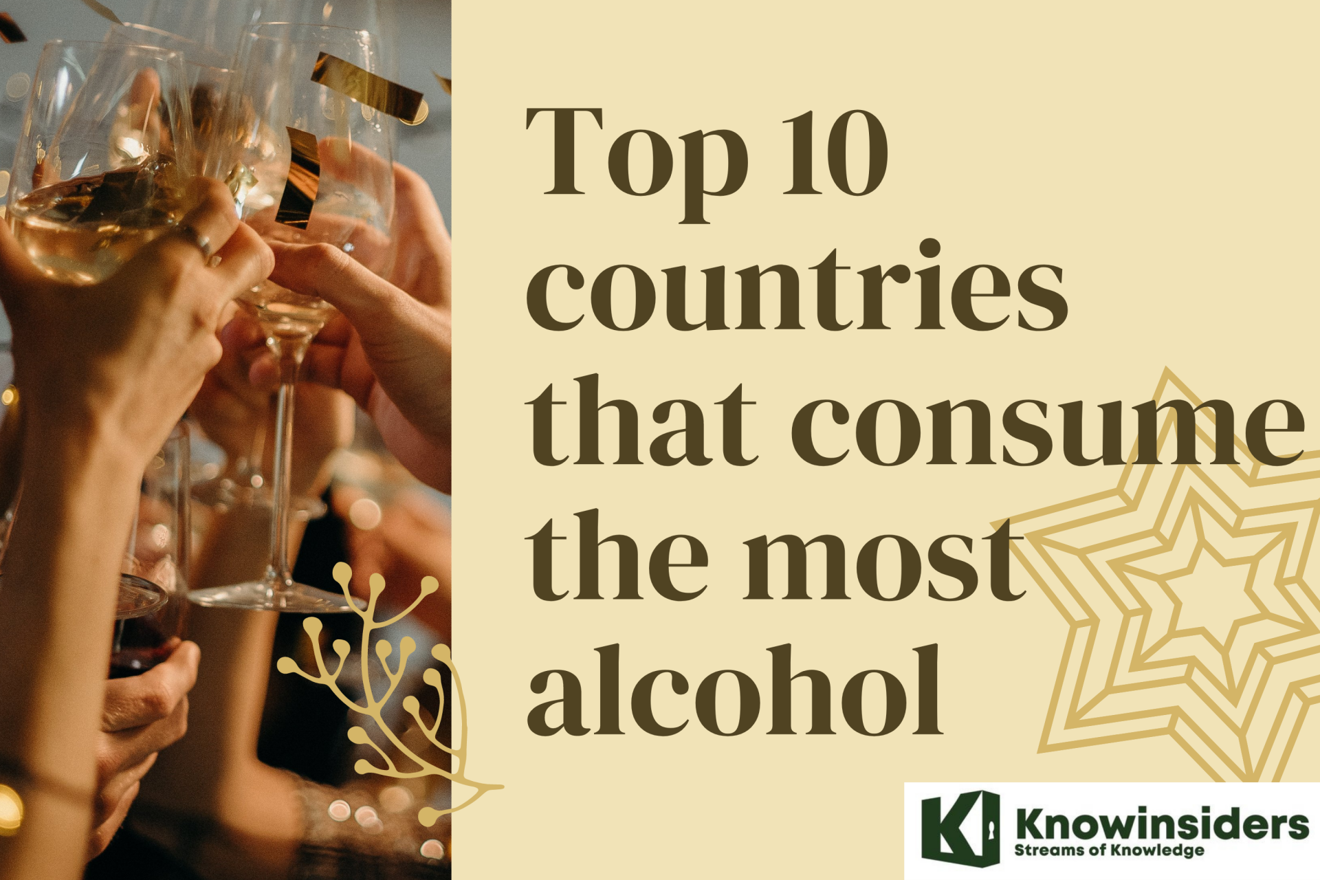 Which Countries Drink The Most Alcohol - Top 10