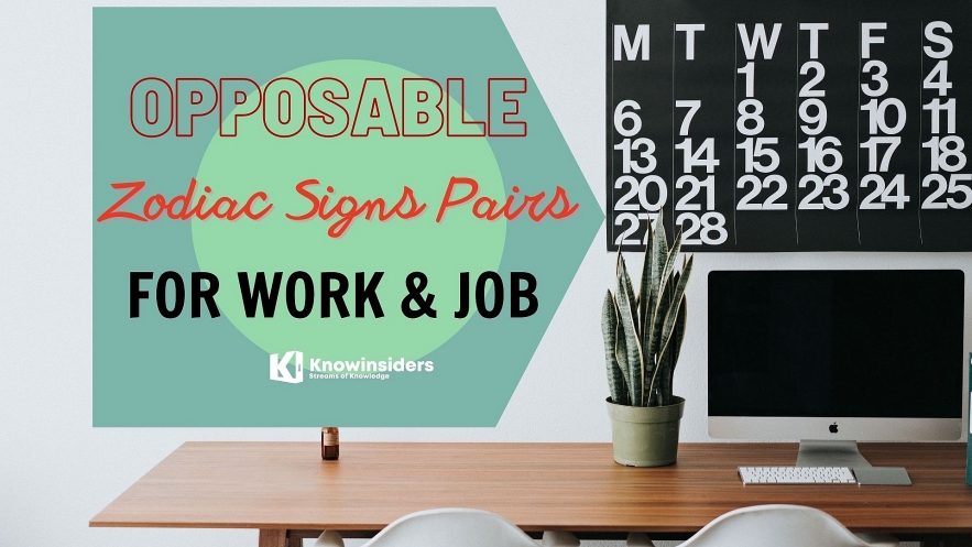 5 Most Opposable Zodiac Signs Pairs For Work & Job