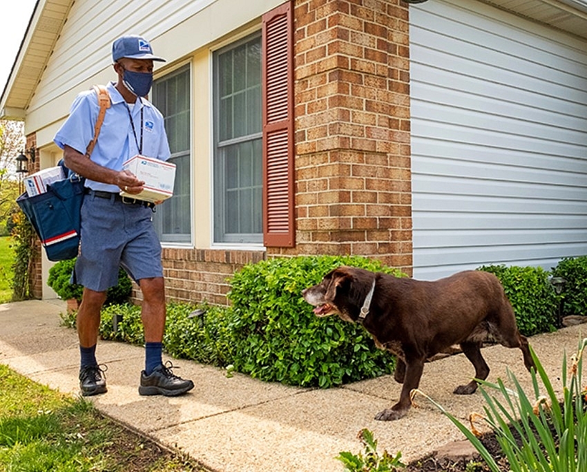Top 10 States Where Many Postmen Are Bitten By Dogs In America