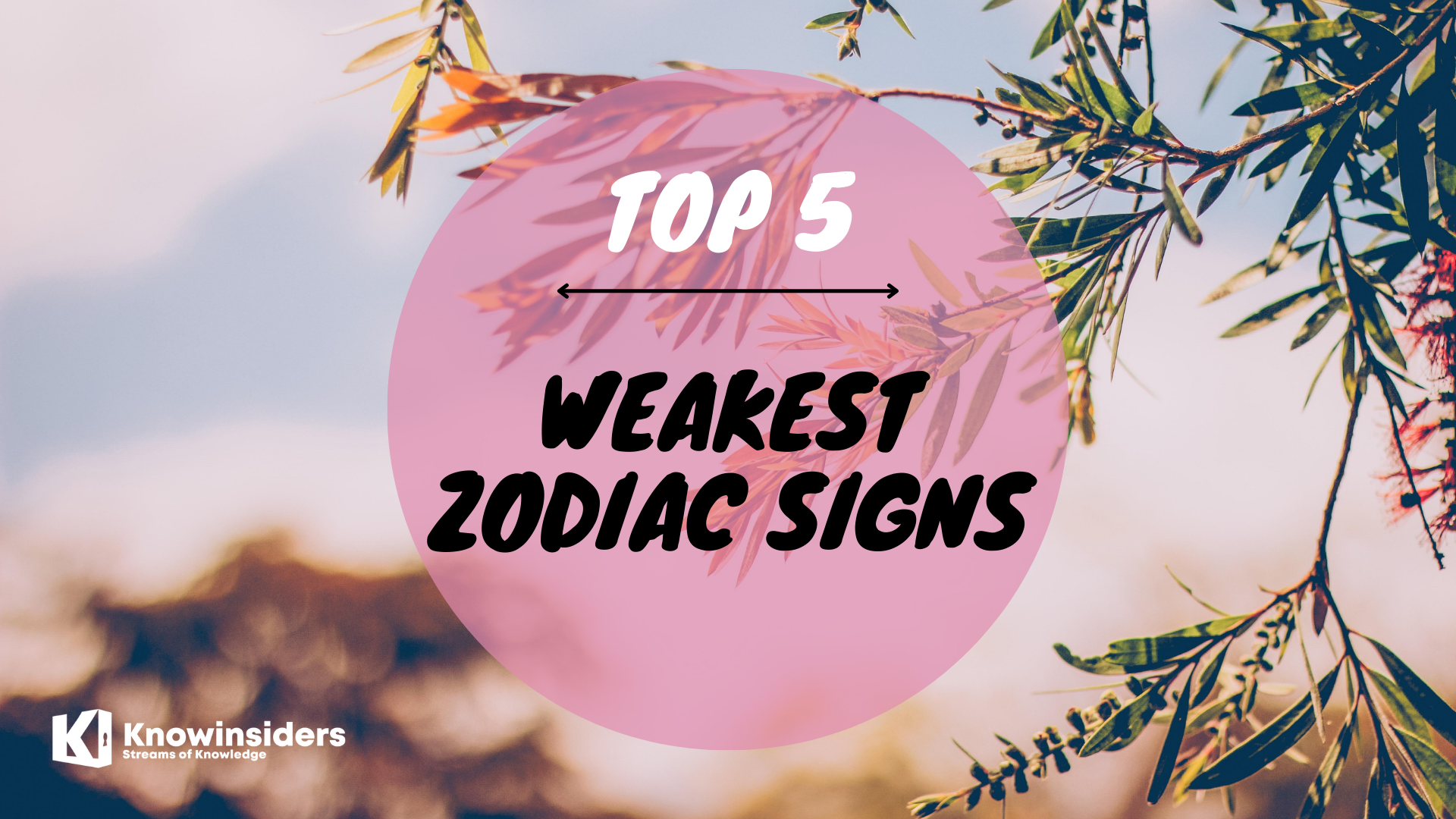 Top 5 Weakest Zodiac Signs According to Astrology