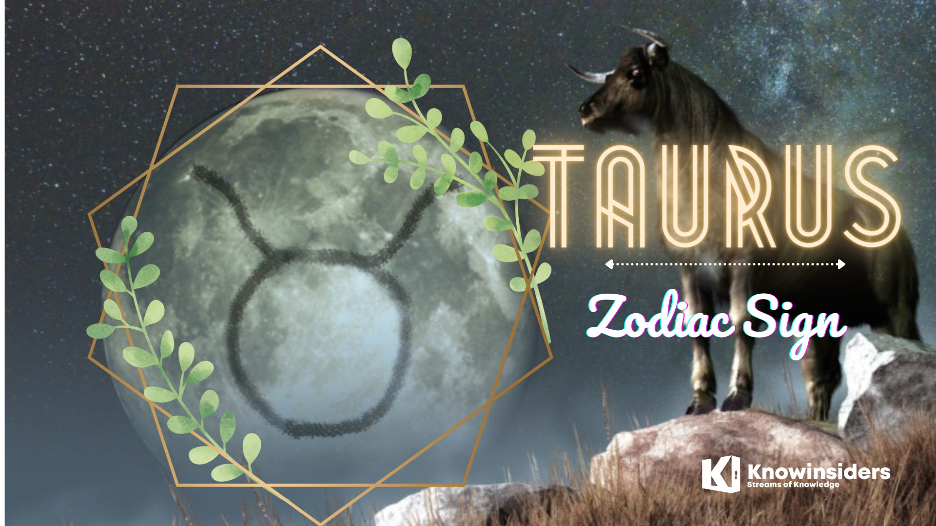 Taurus Zodiac Sign - All things you need to know. Photo: Knowinsiders.