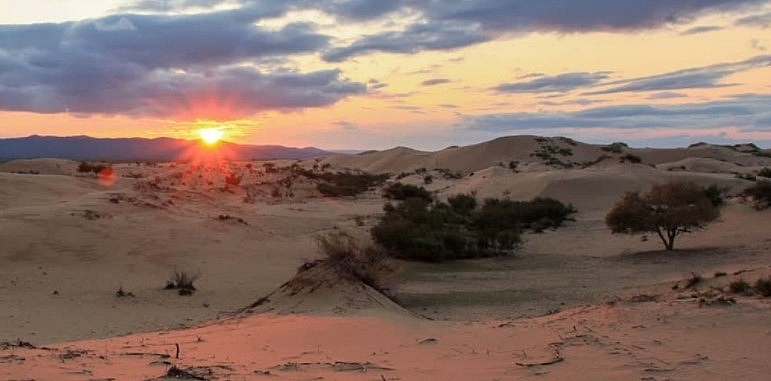 Top Largest Deserts In The World