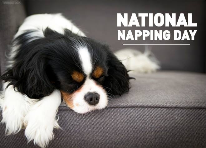 National Napping Day: Why, When & How to Celebrate - Bizarre Holidays