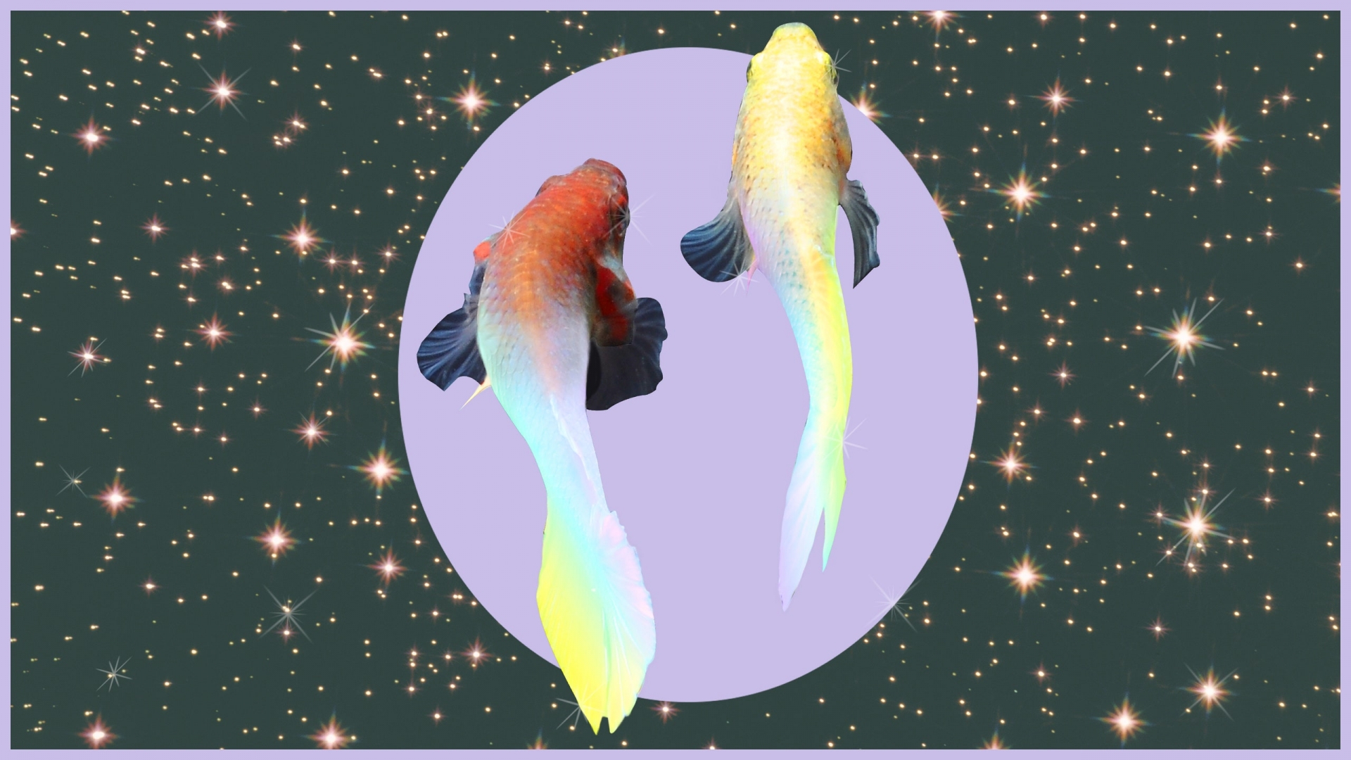 PISCES Weekly Horoscope (February 15 - 21): Astrological Prediction for Love, Money & Finance, Career and Health