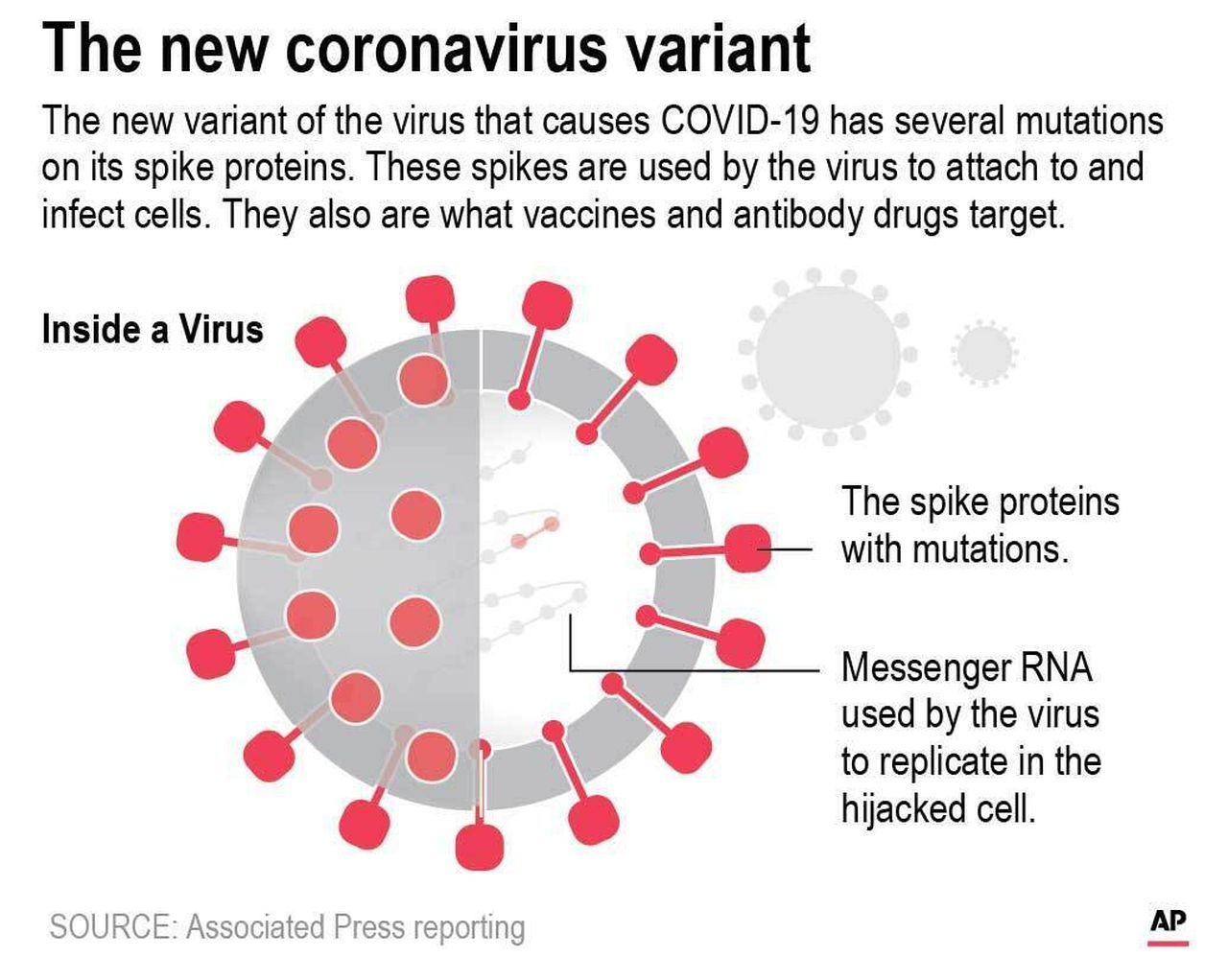 Covid-19 Latest Updates: CDC’s New Guidelines & 5 Things Help You Against The New Variant