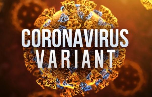 Covid-19 Latest Updates: CDC’s New Guidelines & 5 Things Help You Against The New Variant