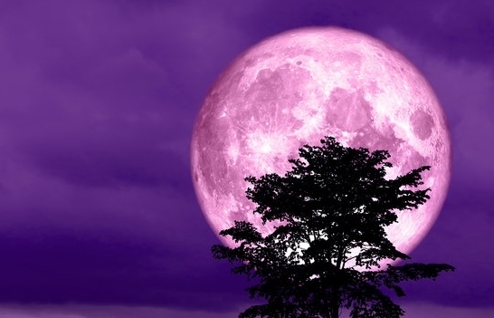 Pink Supermoon: What is it, When & How to See? | KnowInsiders