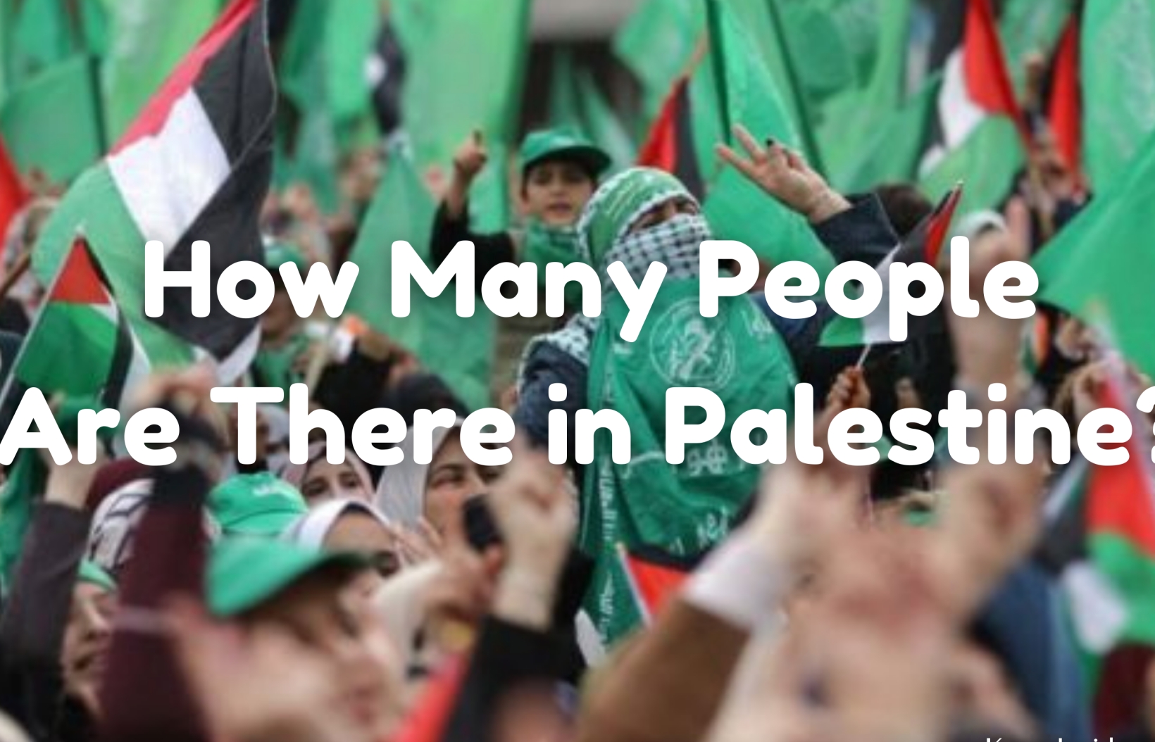 How Many People Are There in Palestine - Updated Population