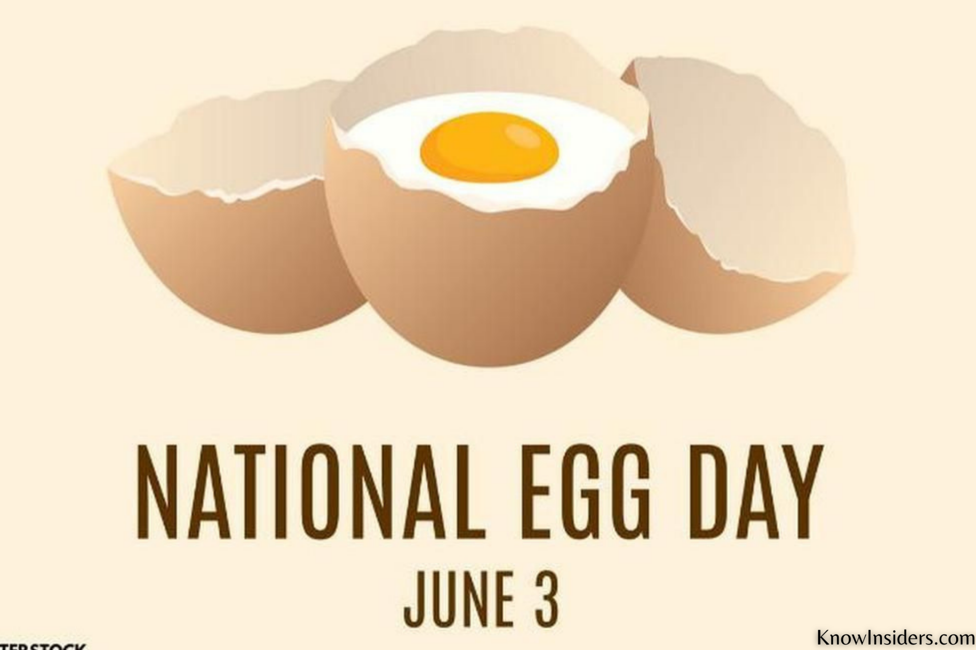 National Egg Day: History, Significance, Celebrations and Interesting Facts