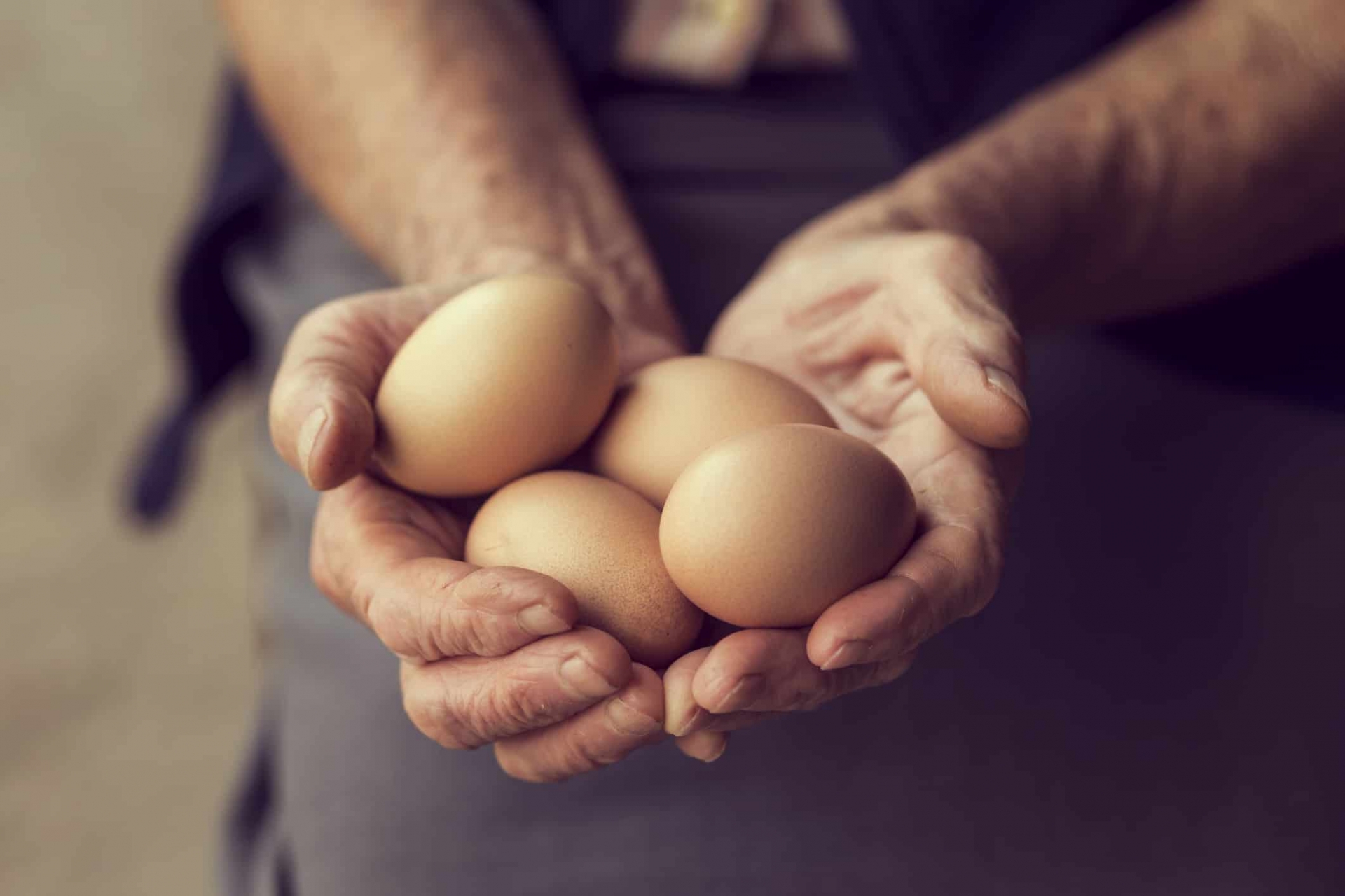 National Egg Day: History, Significance, Celebrations and Interesting Facts