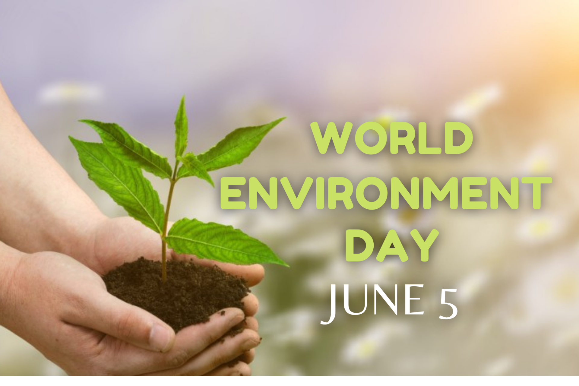 World Environment Day: History, Significance, Theme and Celebrations