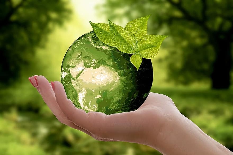 World Environment Day: History, Significance, Theme and Celebrations