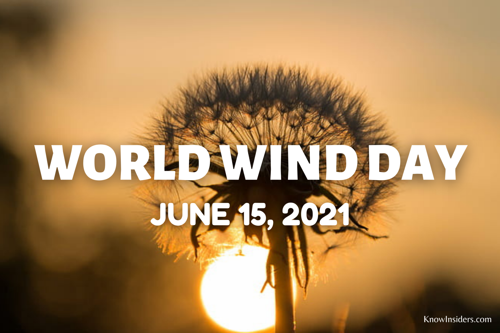 World Wind Day (June 15): History, Significance and Theme