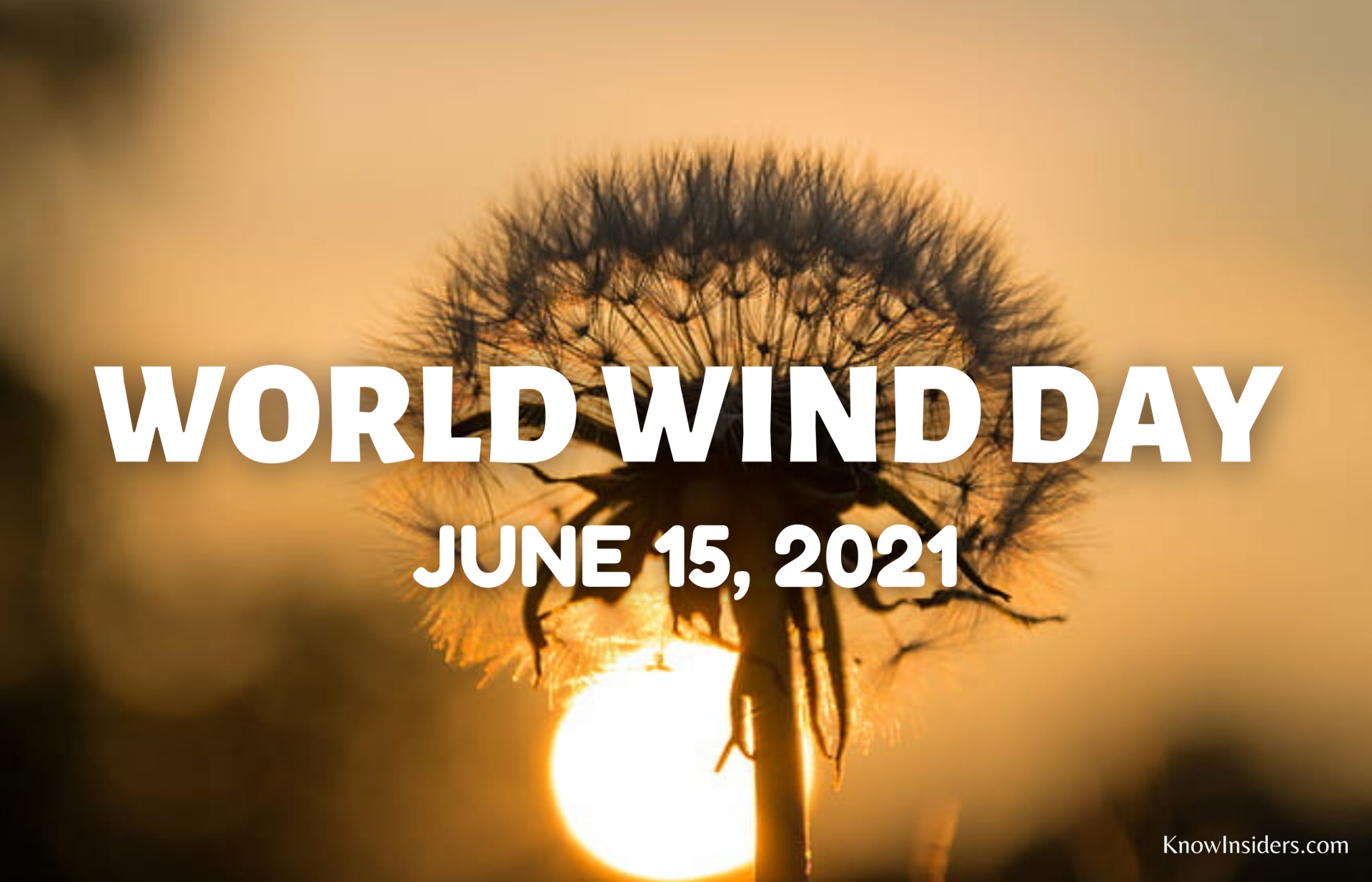World Wind Day (June 15): History, Significance and Theme