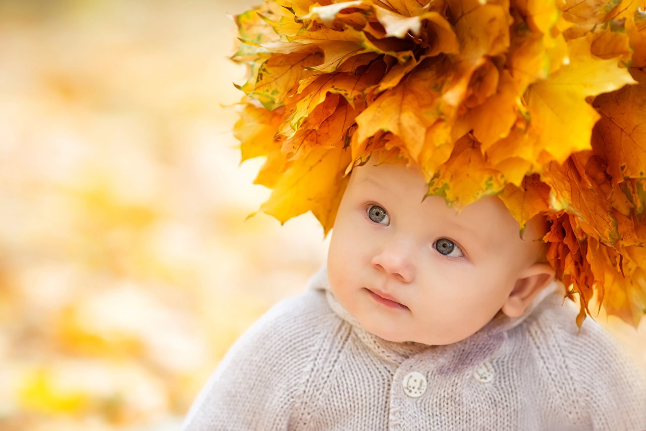 Photo Infants Leaf child Autumn Glance