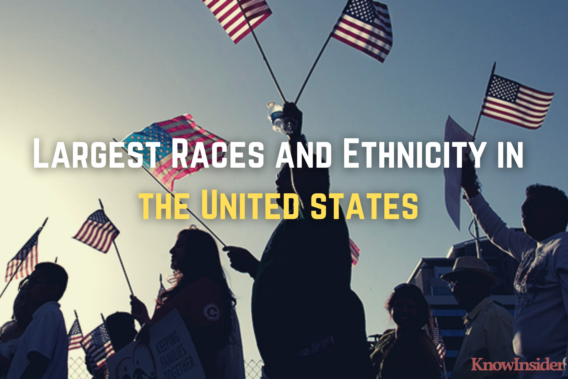The Largest Ethnic Group & Nationalities in The United States