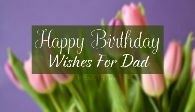 Happy Birthday for Father: Top 60+ Best Wishes and Quotes
