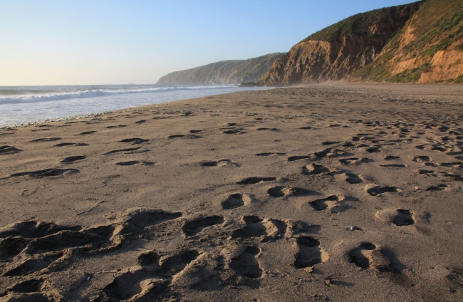 top 10 beaches in california according to us news survey