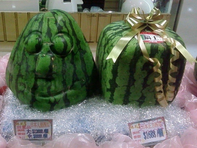 0109 watermelons in japan