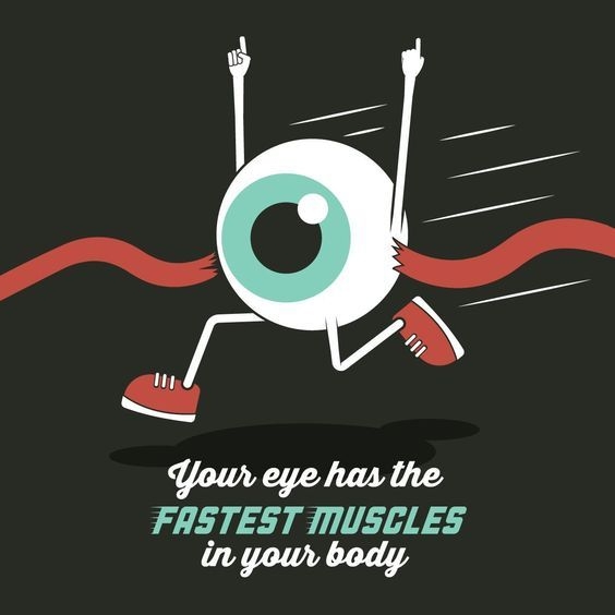 5233 facts about eyes