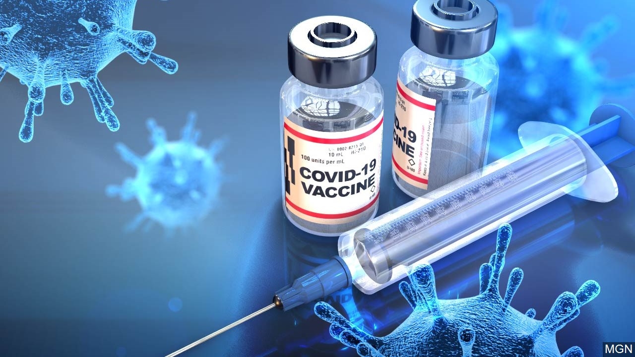 The COVID 19 Vaccine Global Race