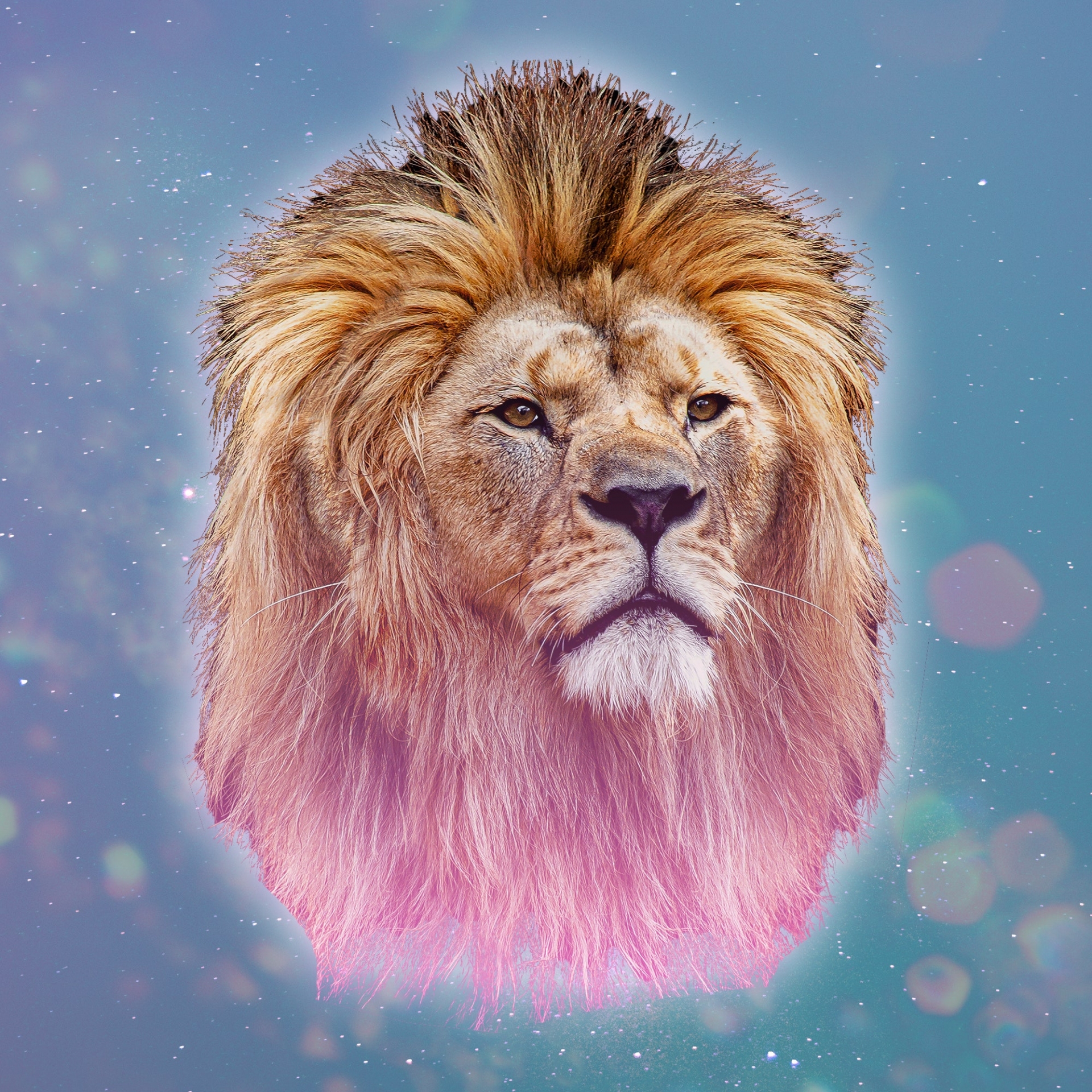 LEO Weekly Horoscope (April 5 - 11): Astrological Predictions for Love, Financial, Career and Health