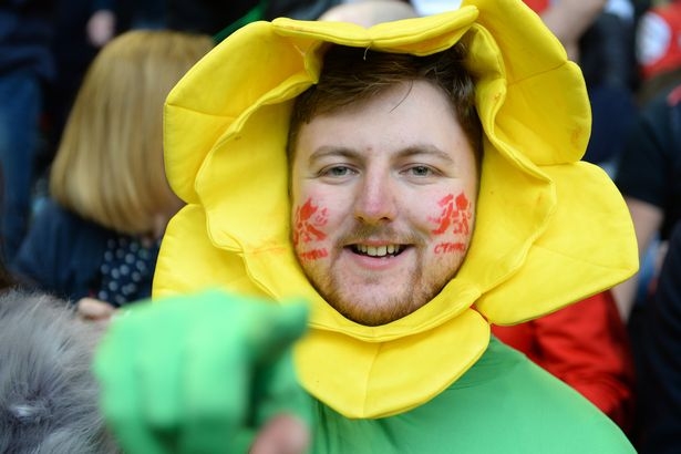 A fan at the Wales v England Six Nations clash.Photo: Wales Online