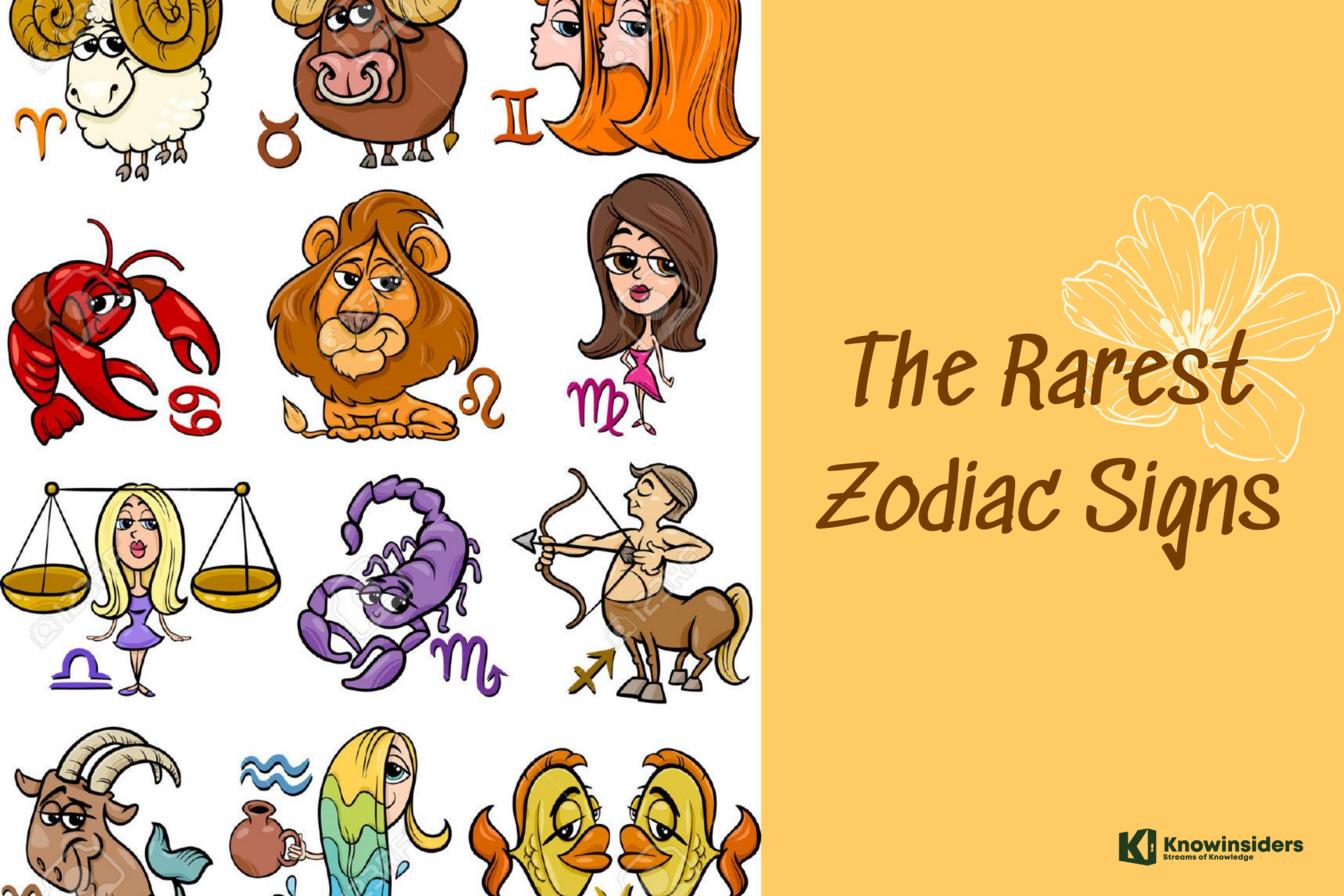 What Is The Rarest Zodiac Sign Surprising Facts KnowInsiders