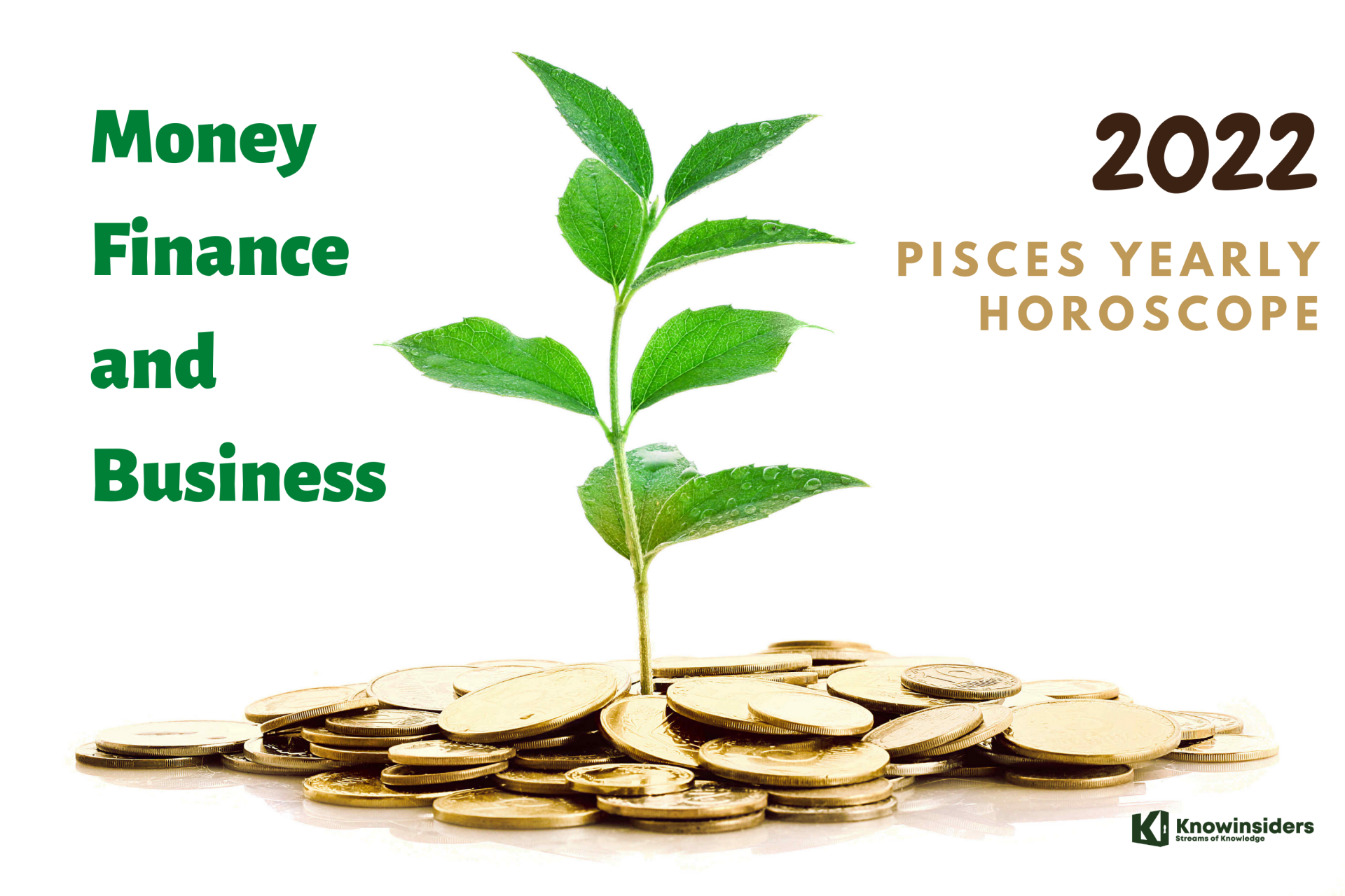 PISCES Yearly Horoscope 2022: Predictions for Money, Finance and Business