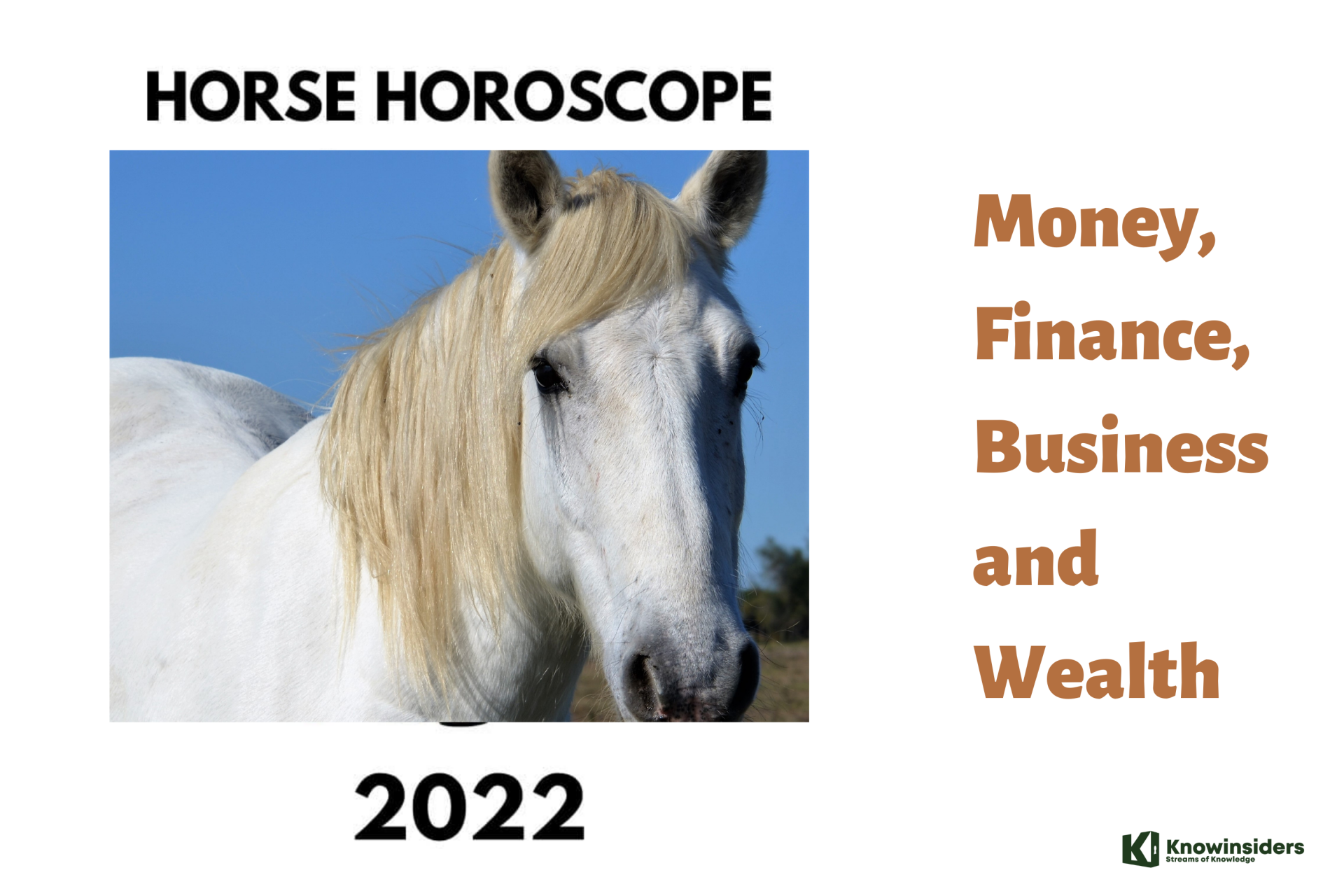 HORSE Yearly Horoscope 2022 – Feng Shui Predictions for Money, Finance, Business and Wealth