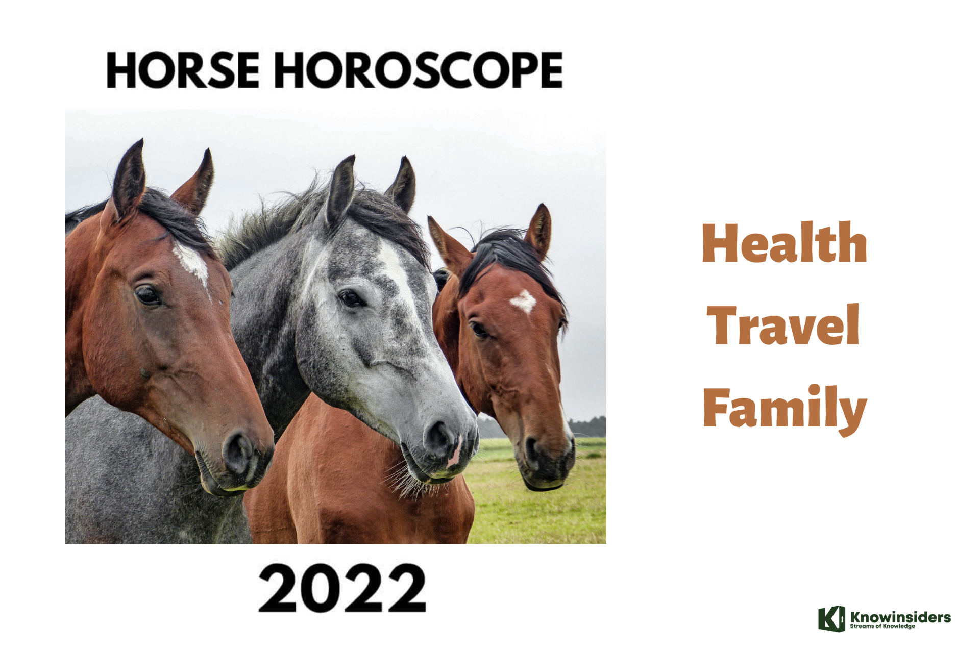 Horse Yearly Horoscope 2022 – Feng Shui Prediction for Health, Travel and Family