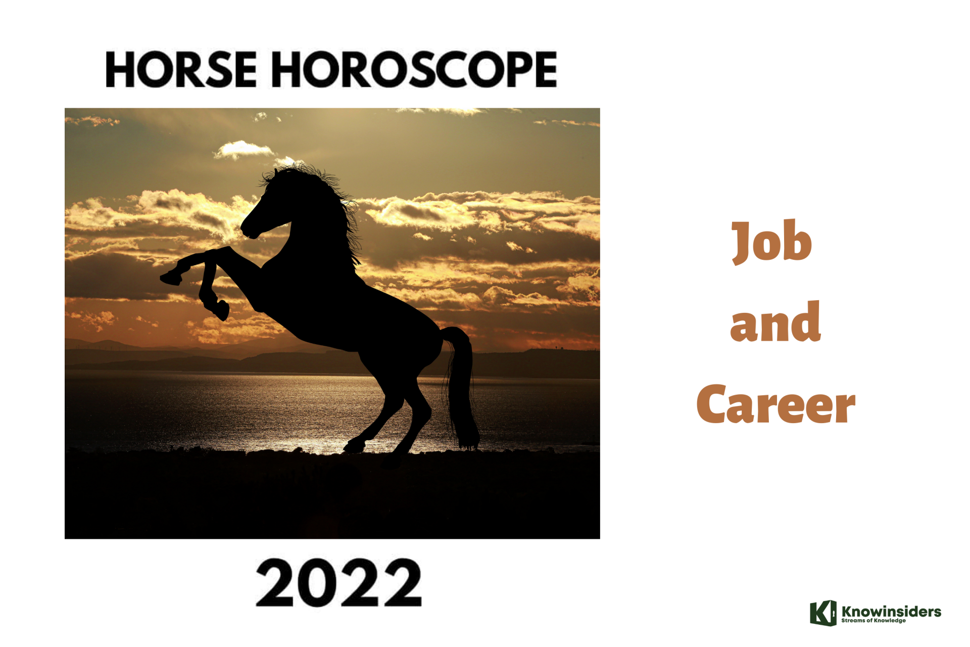 Horse Yearly Horoscope 2022 – Feng Shui Predictions for Career, Job and Work