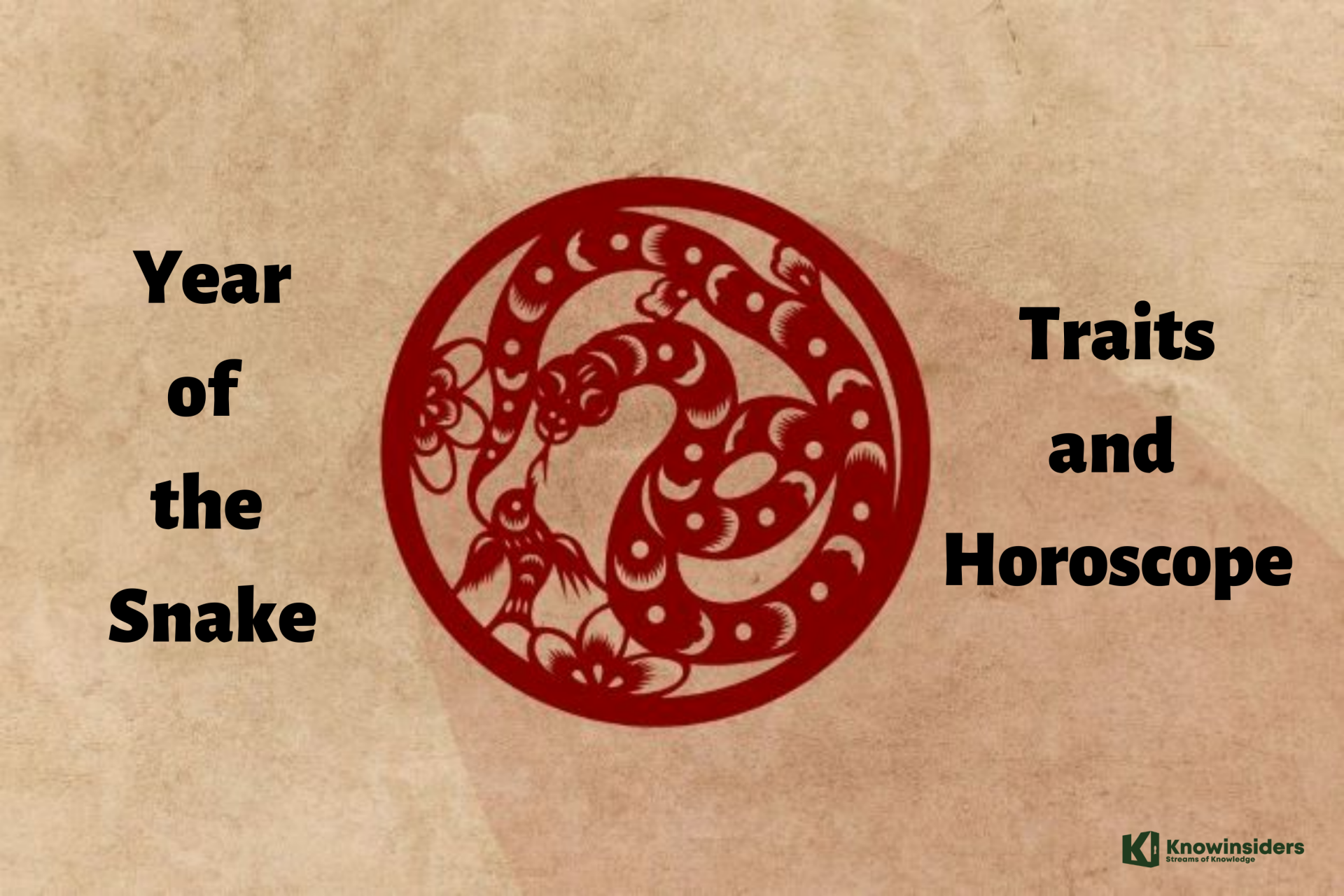 Year of the Snake: Personality Traits, Horoscope, Forecast - Chinese Zodiac
